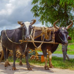 9DDB404E-55B4-46CA-974B-E36504F097B5