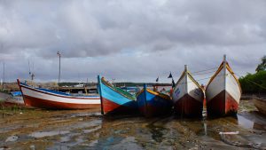 AB8FC99A-3B9B-49ED-BF59-DF2DEB5C5EA3